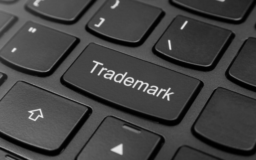 UAE – Trademark Litigation 2017 (A global guide)